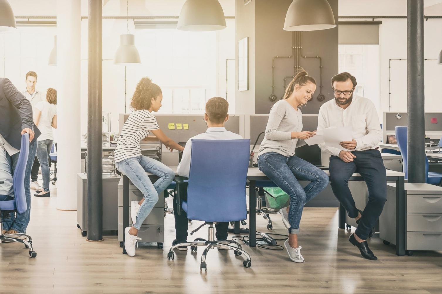 Professionele budgetanalyse en audit voorbereiding
